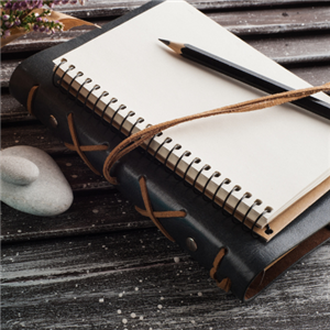 journal